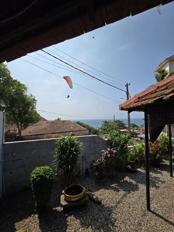 Garden overlooking the sea